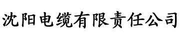 干她羞羞歪歪电缆厂logo